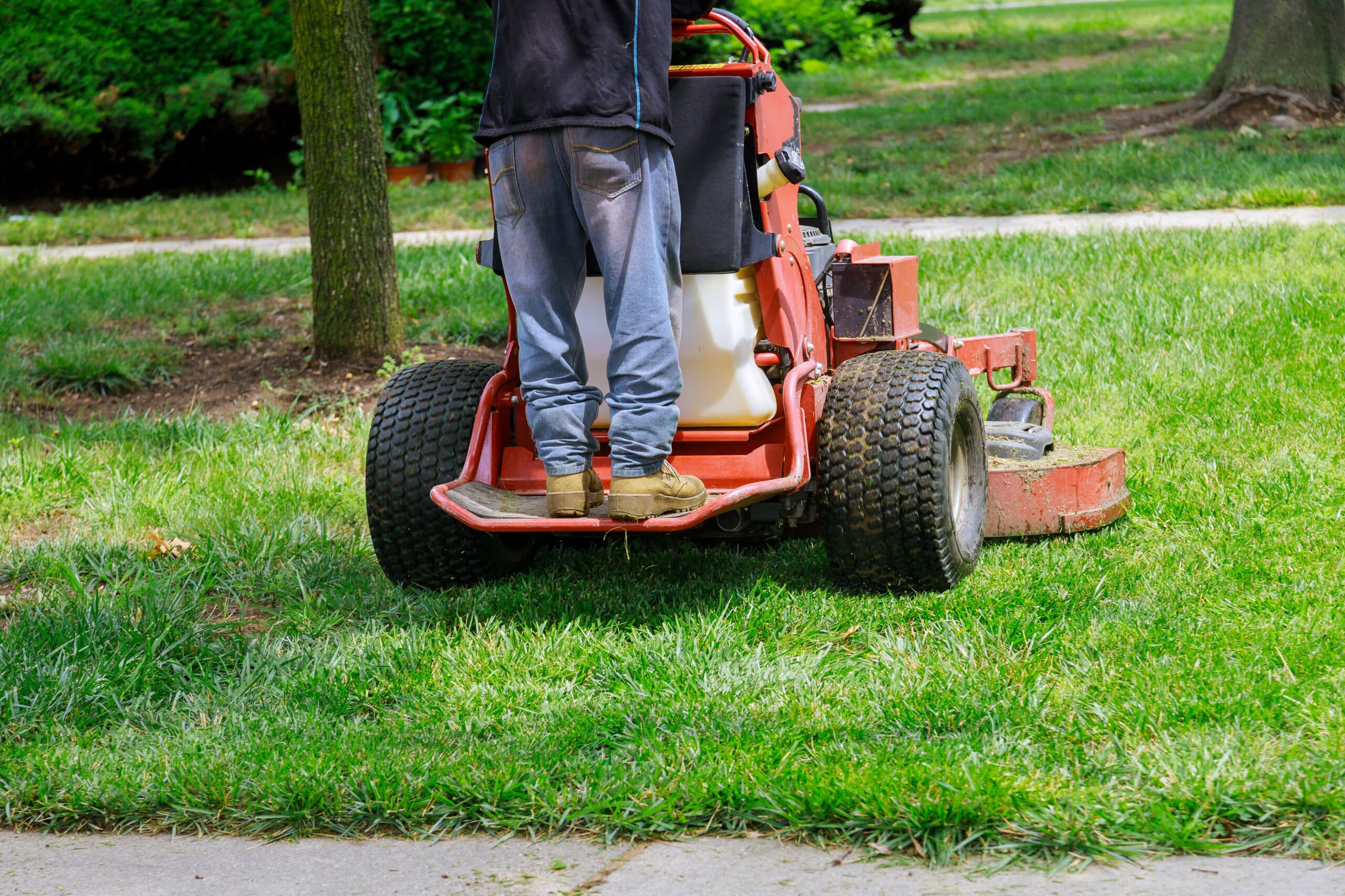 landscaping